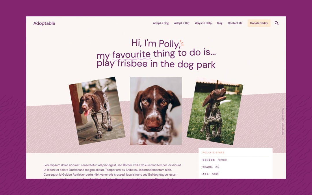 Adoptable Pets HTML5 Responsive site Template